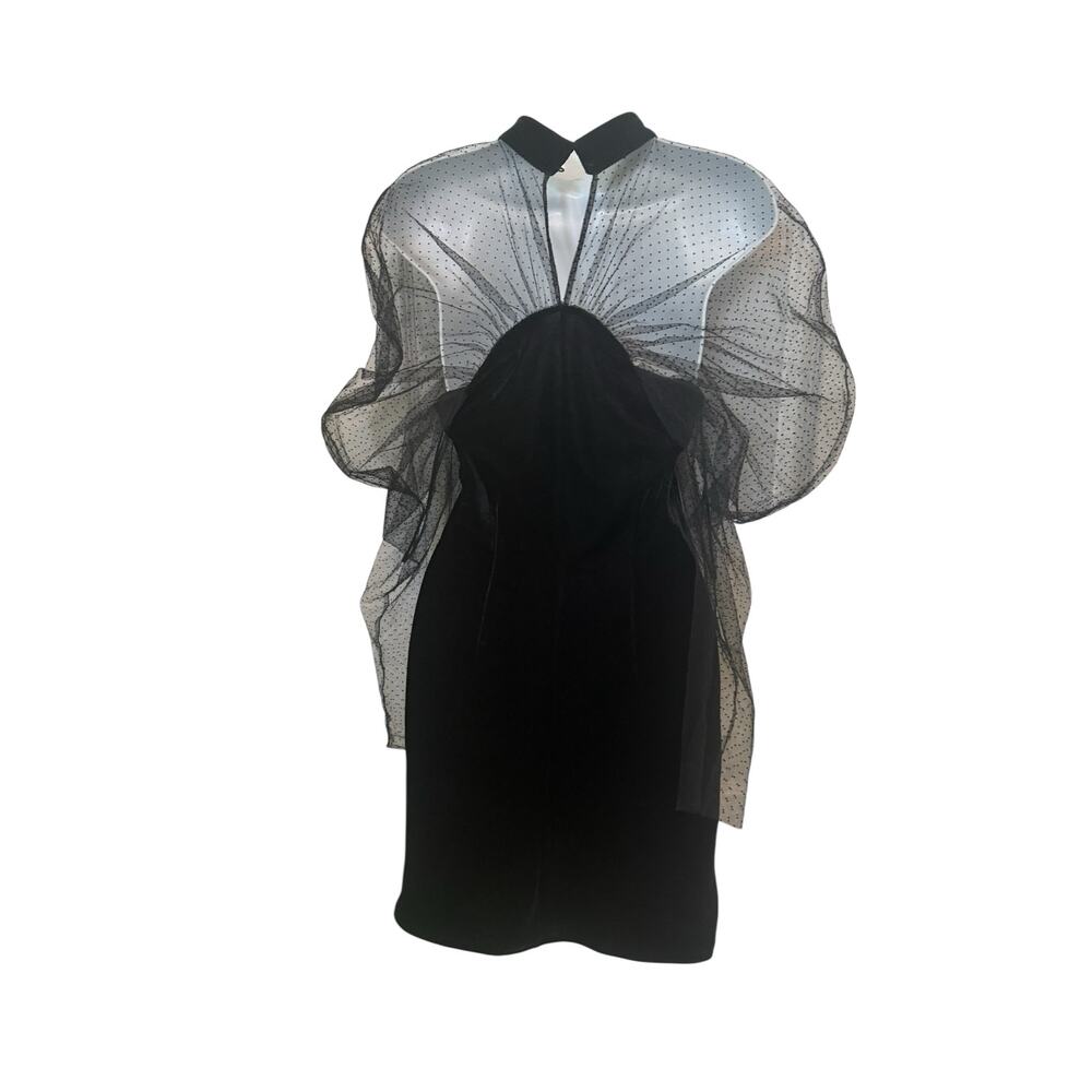 Zara NWOT Unusual Black Velvet w/Spotted Net Sleeves & Collar Party Dress S